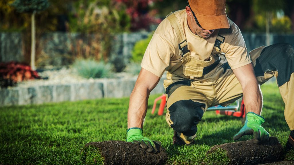 Landscaping Faq Boca Raton - #1 Landscaping Company in Boca Raton, FL